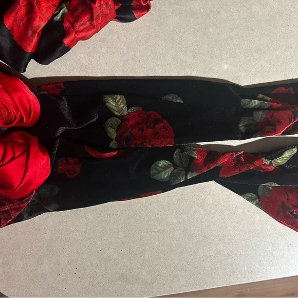 The most gorgeousssss For Love & Lemons dress. Worn once. Gloves included!